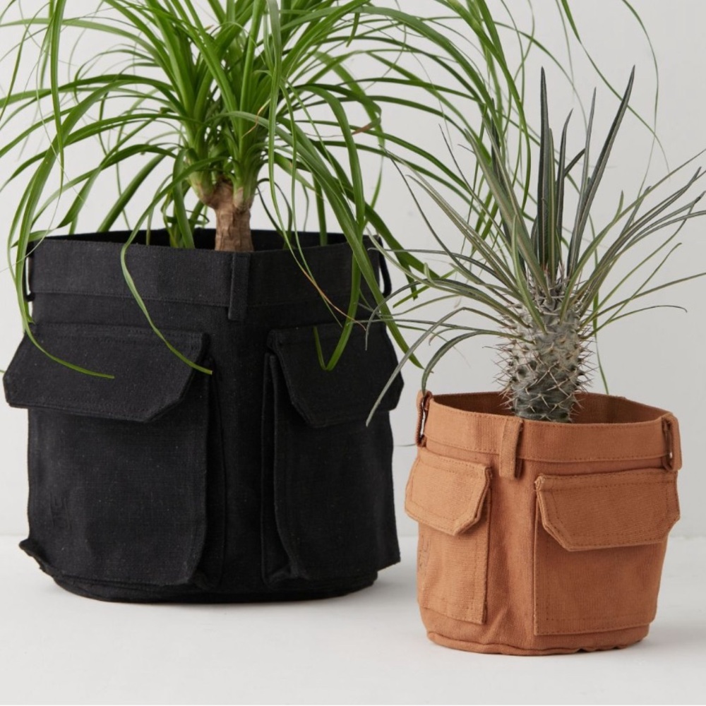 Small Cargo Plant Holder and Organization - Multi Use Pencil Cup